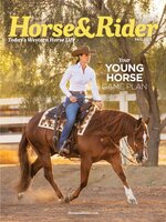 Horse & Rider